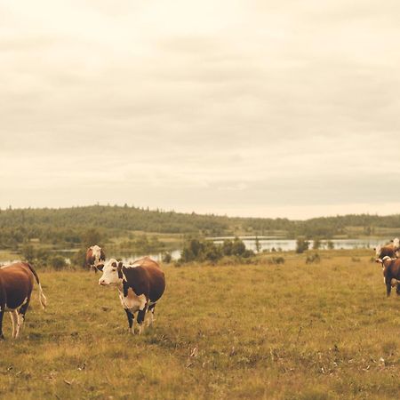 Gala Hogfjellshotell エクステリア 写真